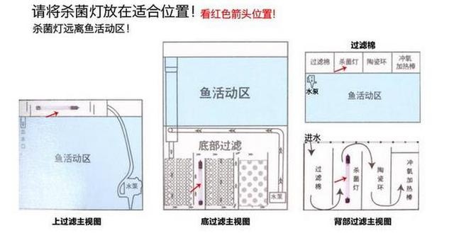 鱼缸杀菌灯应该这样使用效果更好.jpg